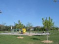 Lampman Park
